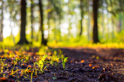 Grondneutraal bouwen met minder CO2 uitstoot